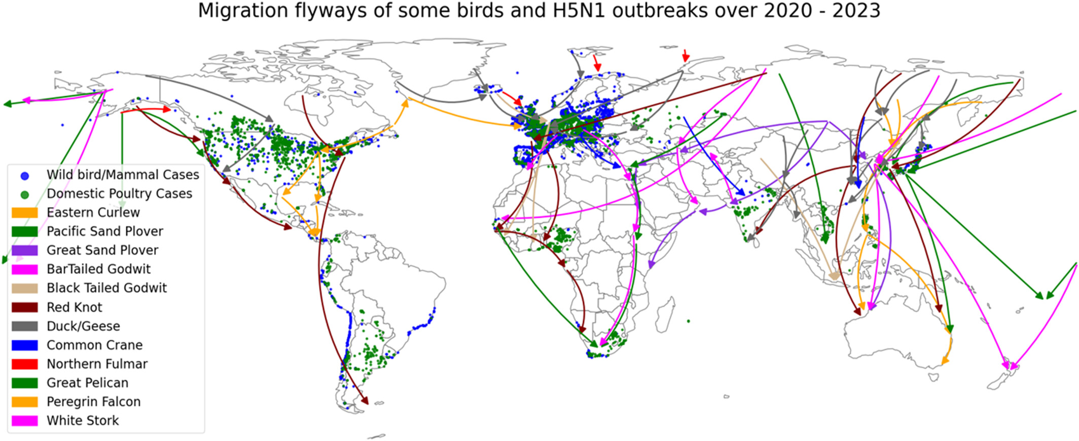 Avian influenza migration and trade map